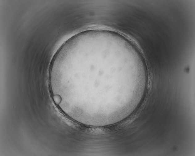 X0000114571231200911301304