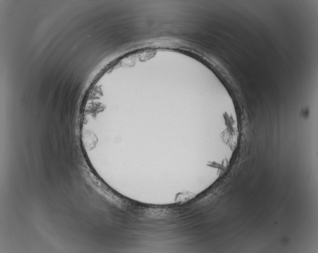 X0000114571232200911301304