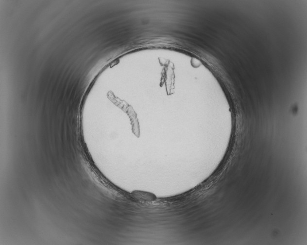 X0000114571234200911301304