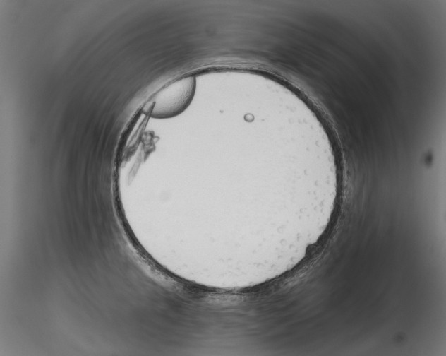 X0000114571237200911301304