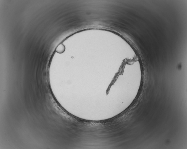 X0000114571238200911301304