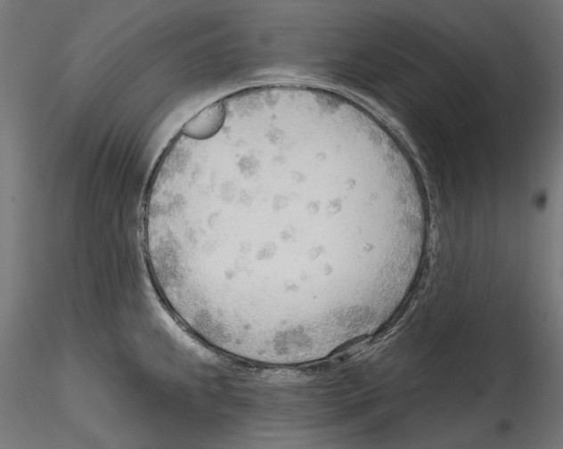 X0000114571239200911301304