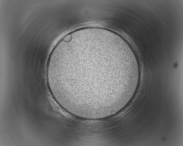 X0000114571240200911301304