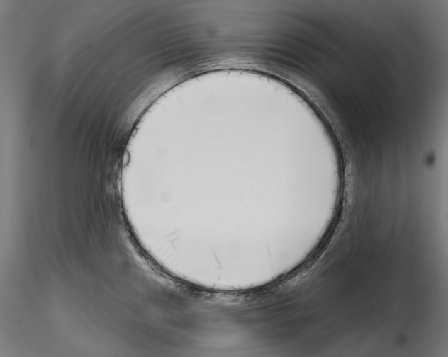 X0000114571241200911301304