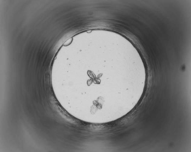 X0000114571242200911301304