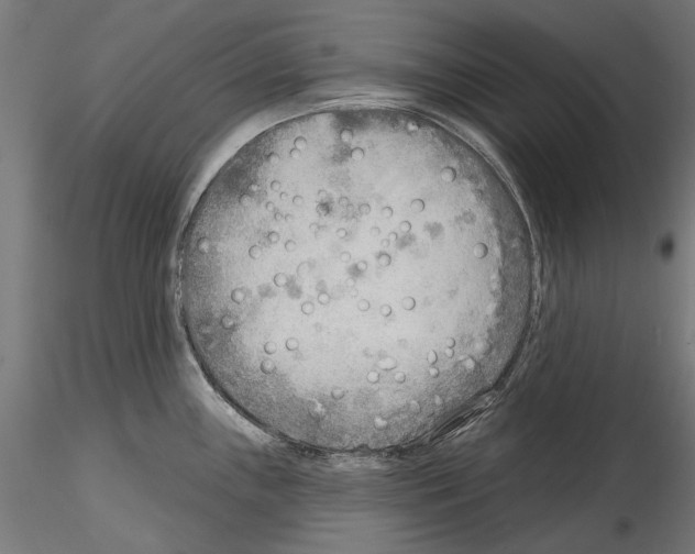 X0000114571243200911301304