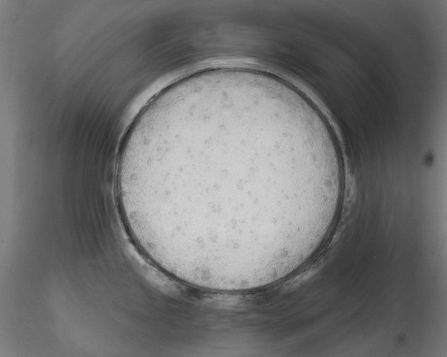 X0000114571245200911301304