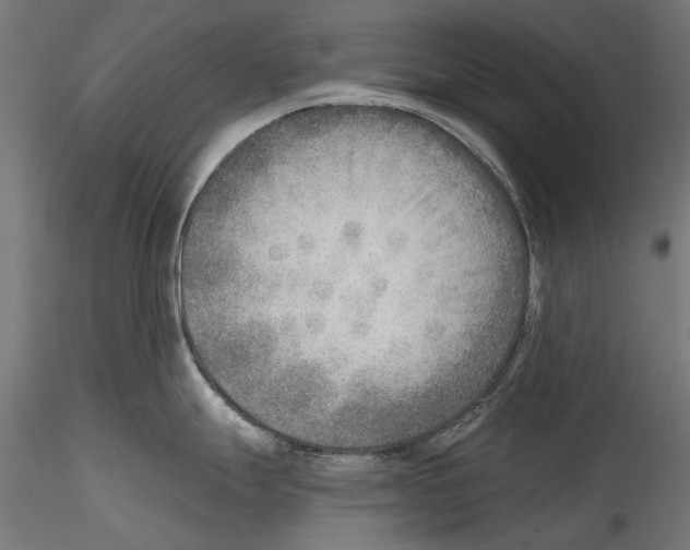 X0000114571247200911301304