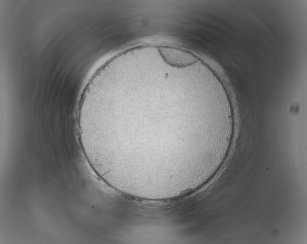 X0000114571248200911301304