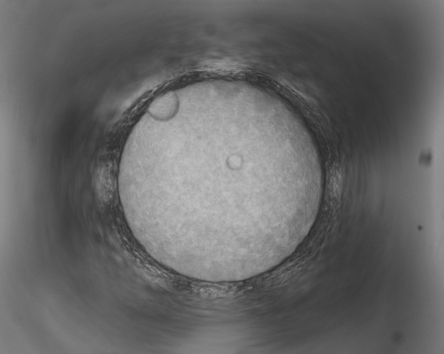 X0000114571254200911301304