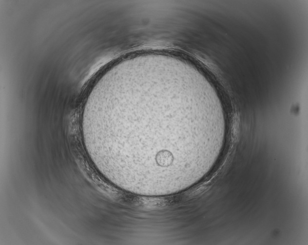 X0000114571258200911301304