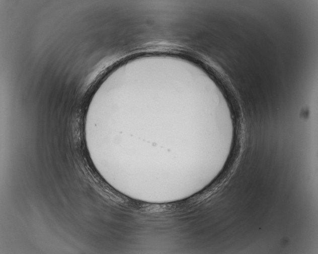 X0000114571259200911301303