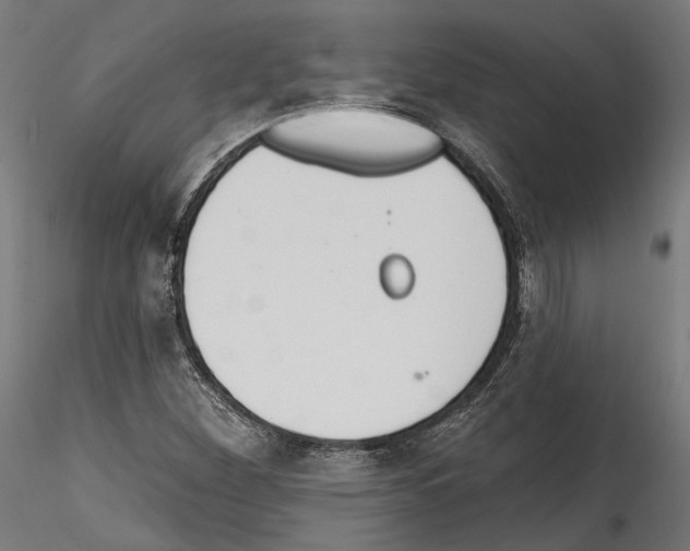 X0000114571260200911301303