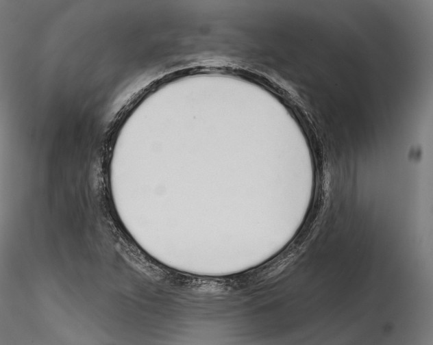 X0000114571263200911301303