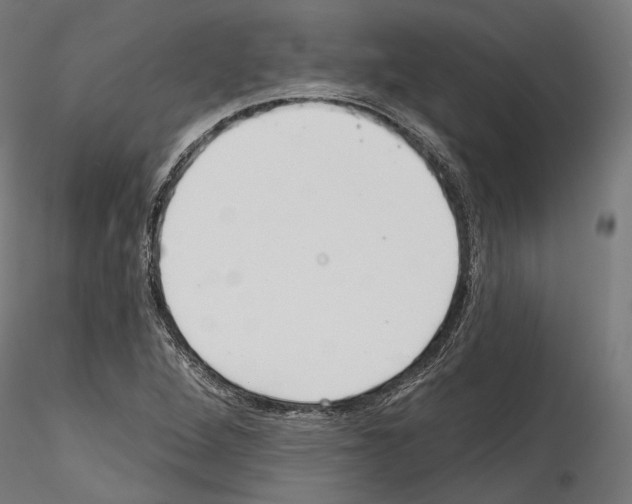 X0000114571264200911301303