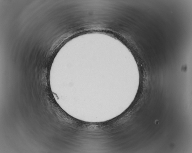 X0000114571265200911301303