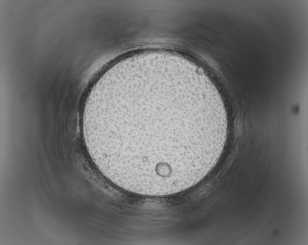 X0000114571267200911301303