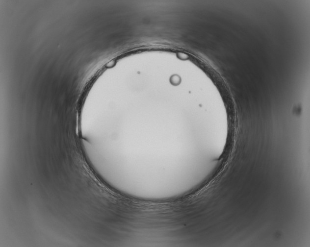 X0000114571269200911301303