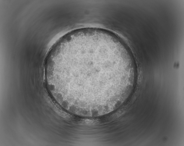 X0000114571271200911301303