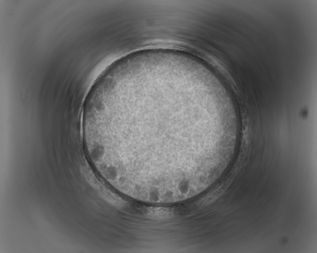 X0000114571275200911301303