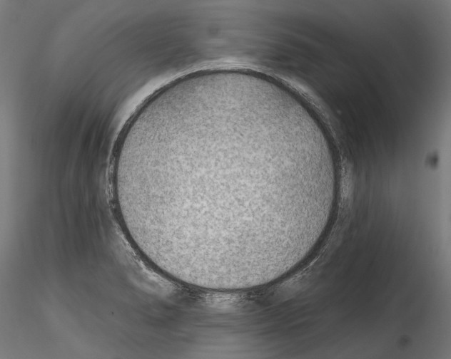 X0000114571278200911301303