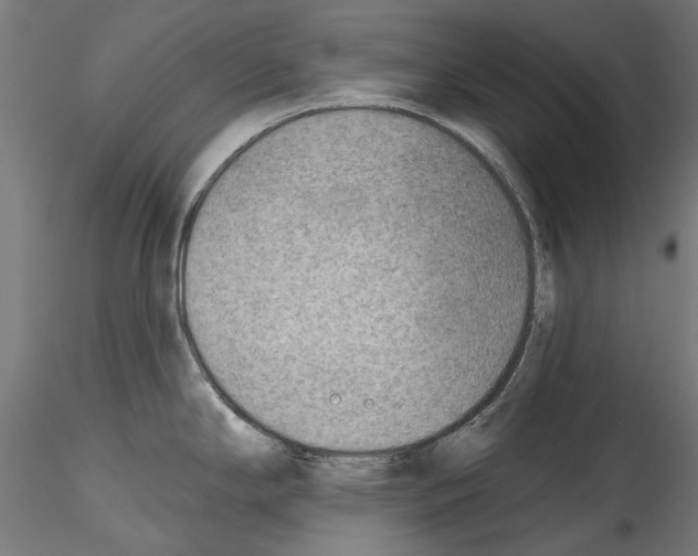 X0000114571294200911301303