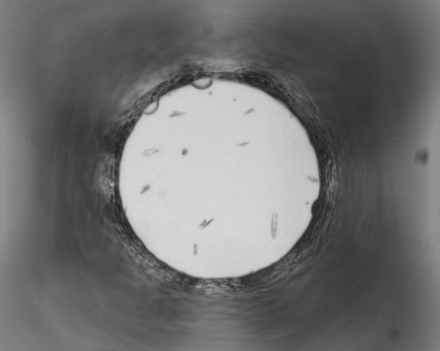 X0000114571301200911301302