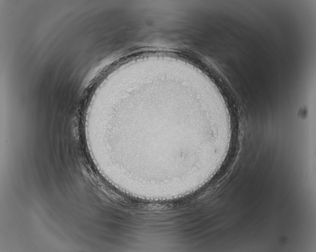 X0000114571307200911301302