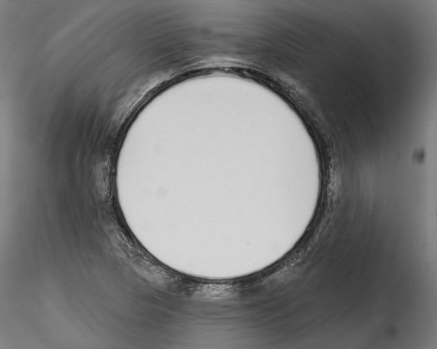 X0000114571313200911301302