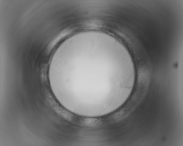 X0000114571314200911301302