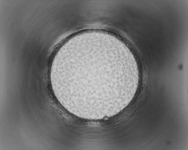 X0000114571315200911301302