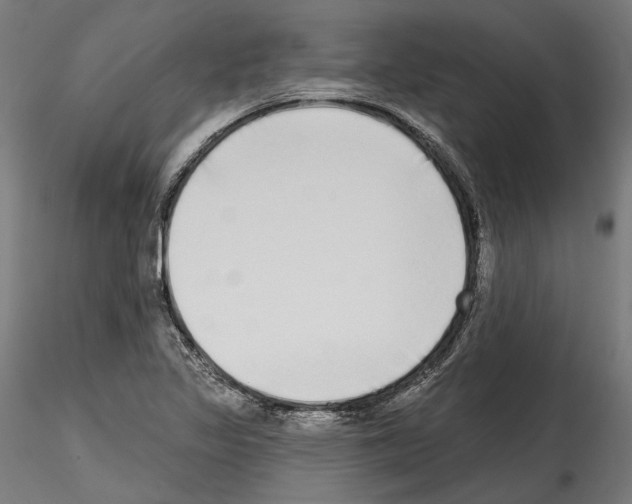 X0000114571317200911301302