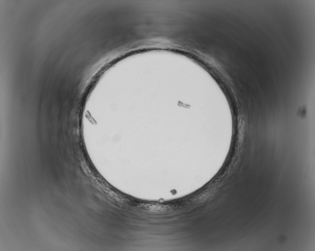 X0000114571318200911301302