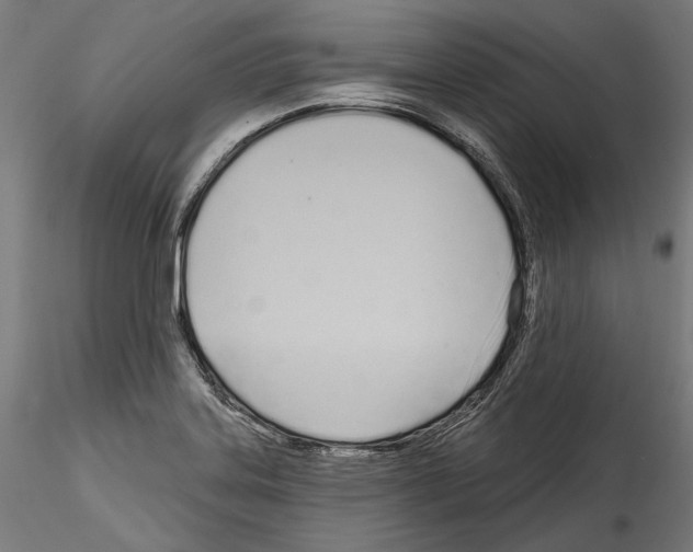 X0000114571323200911301303