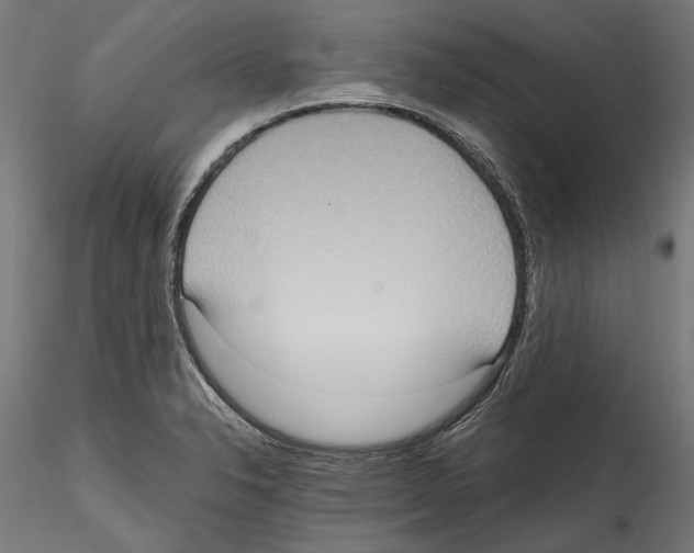 X0000114571326200911301303