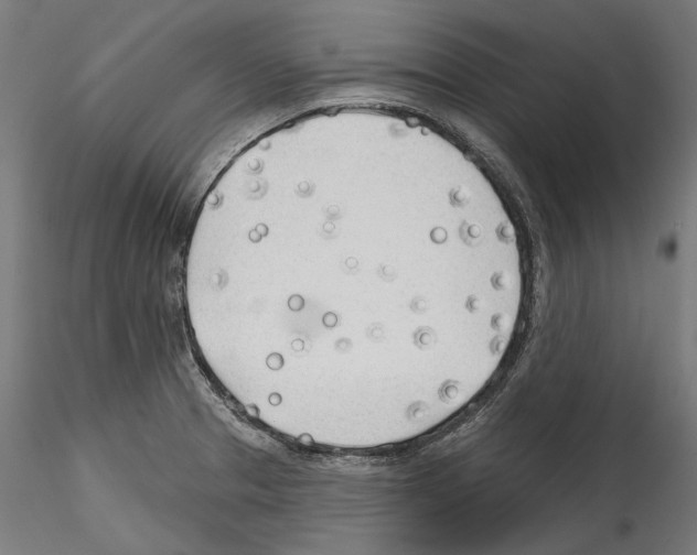 X0000114571329200911301303