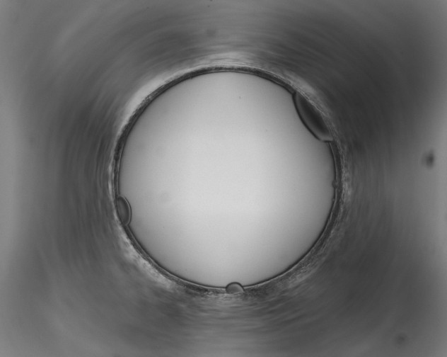 X0000114571334200911301303