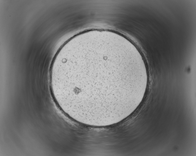 X0000114571335200911301303