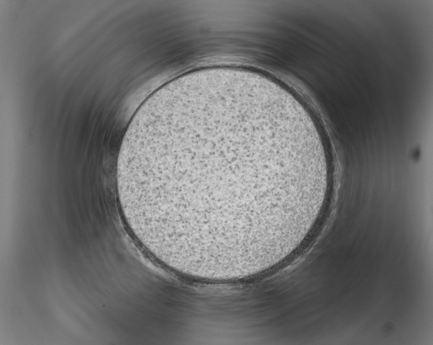 X0000114571337200911301303