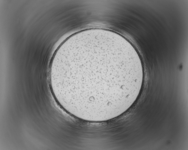 X0000114571339200911301303