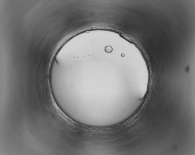 X0000114571342200911301303