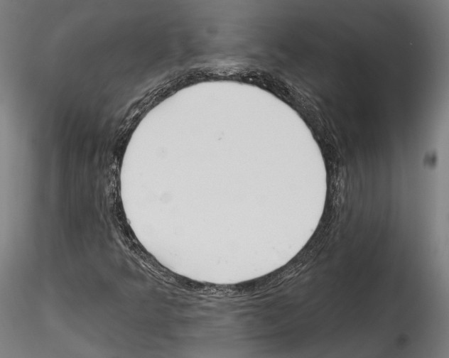 X0000114571349200911301302