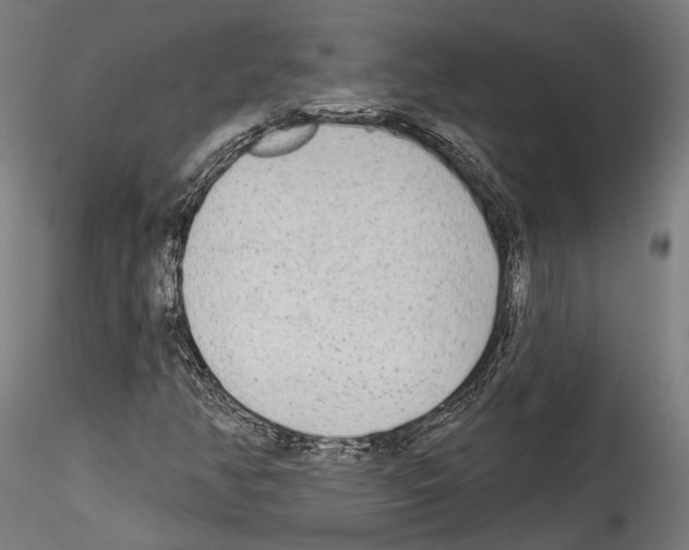 X0000114571350200911301302