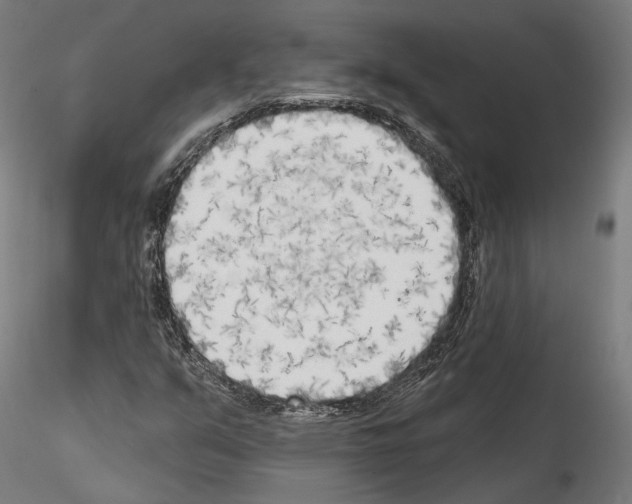 X0000114571351200911301302