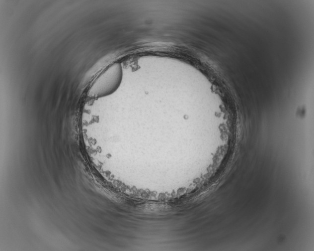 X0000114571354200911301302