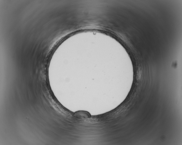 X0000114571356200911301302