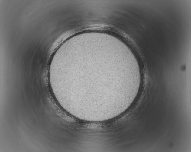 X0000114571362200911301302