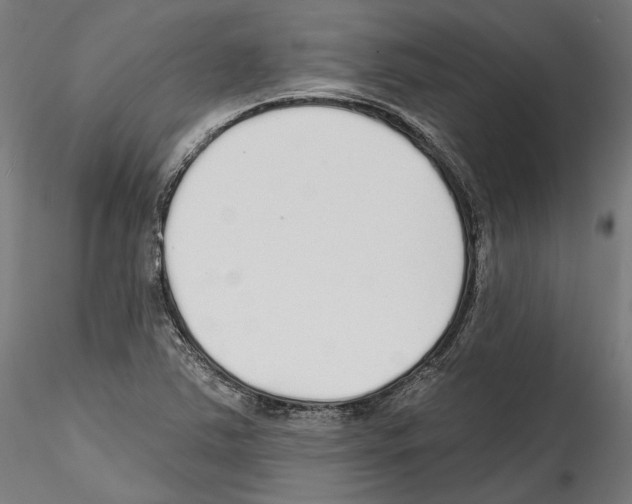 X0000114571363200911301302