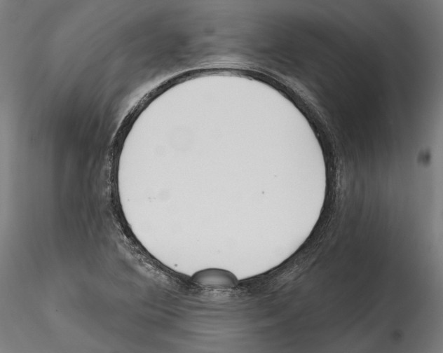 X0000114571364200911301302