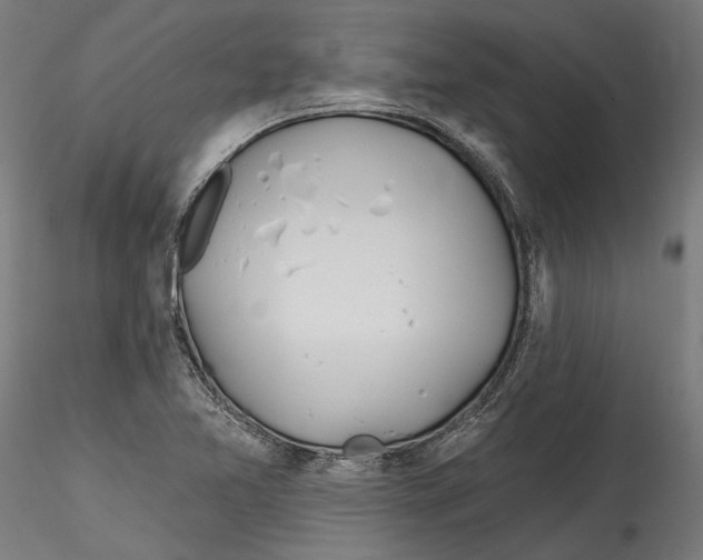 X0000114571365200911301302